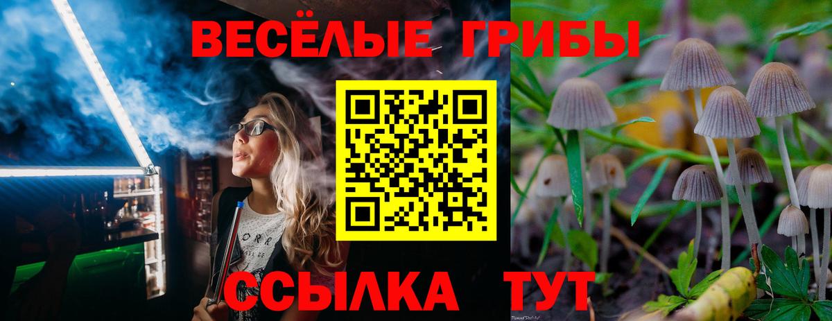 Галлюциногенные грибы Psilocybine cubensis Кимовск